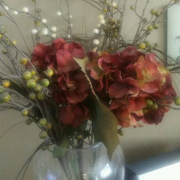 Meet your Posher, Cecilia - Picture 1 of 1